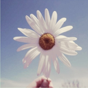 fighting-for-fitness-with-tea avatar