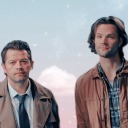 fightingforyoucas avatar