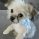 figureitoutasigo avatar