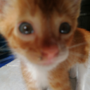 fika-de-esperanza avatar