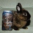 filenesdebasement avatar