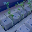 fileofsadtime avatar