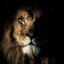 filhoo-do-reii avatar