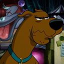 filhote-de-limao avatar