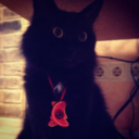 filinpan-blog avatar