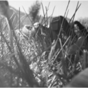 filipe--guedes avatar