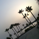 filled-with-randomness avatar