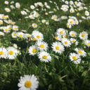 filledwithindecision avatar