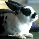 filloriancompass avatar