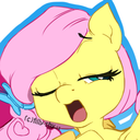 filly-shy-answers avatar