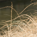 filminyourmind-blog avatar