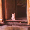 filmlover01110111 avatar