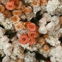 filolamasamda avatar