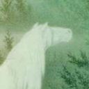 filthybloodpond avatar