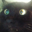 filthyeagleman avatar