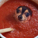 filthygoblingirl avatar