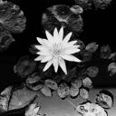 filthysoul1111 avatar