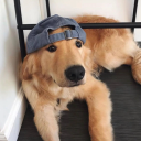 fim-poeiraestelar avatar