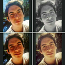 finalfateisdestruction avatar