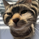 finalgirlmalarkey avatar