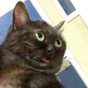 finally-found-my-top-hat avatar