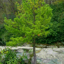 finally-loving-myself avatar