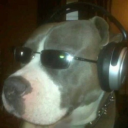 financepigdotnet avatar