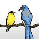 finch-and-jay avatar