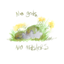 finchjadedarling avatar