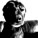 find-your-place-242 avatar