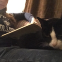 finding-my-new-normal avatar