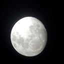 finding-myself-in-wond3rland avatar