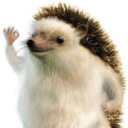 findingjeanette avatar