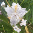 findingmygroove avatar