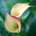 findingmyreality2020 avatar