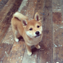 findingmyselfeveryday avatar