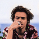 findmeinadream avatar