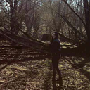 findmeinbetweenthespark avatar