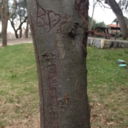 findpeaceinhell avatar