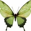 findsfindsfinds avatar