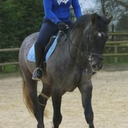 findtheskinnywithin avatar