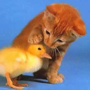 finefeathersfinewords avatar