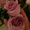 finelivescollective avatar