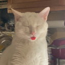 fingergunsinc avatar