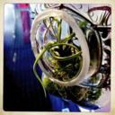 fingerpuppetfreud avatar