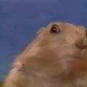 finishyourrivaille avatar