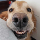 finitendlessness avatar