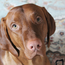 finleyseriozha avatar