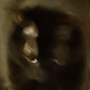 finnsnothuman avatar