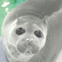 fintasticjokester avatar